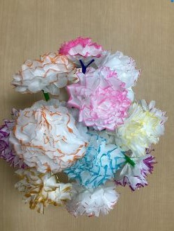 カーネーション